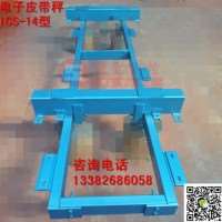 ICS14貿易結算高精度皮帶秤、0.125精度皮帶秤盛勤測控